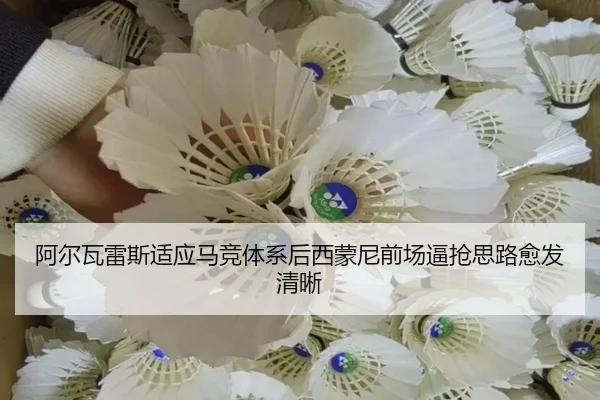 阿尔瓦雷斯适应马竞体系后西蒙尼前场逼抢思路愈发清晰